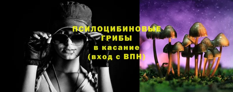 Галлюциногенные грибы Psilocybe  Заречный 